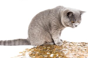Schenking goed doel: zo kun je een goed doel financieel ondersteunen